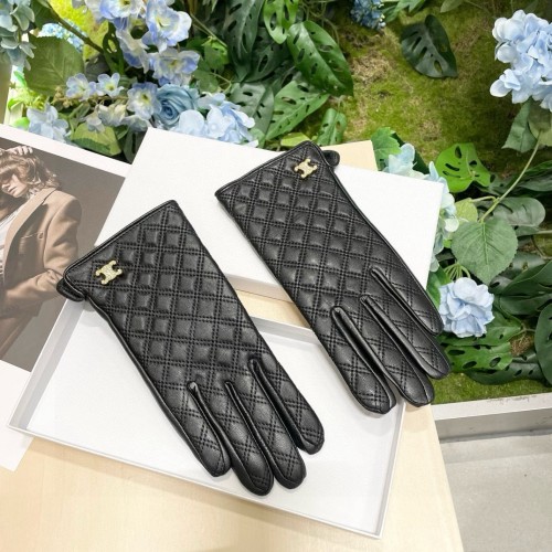 Celine Gloves 004