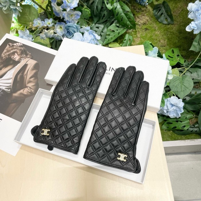 Celine Gloves 004