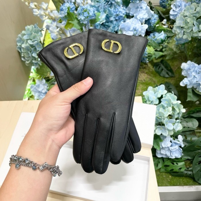Dior Gloves 013