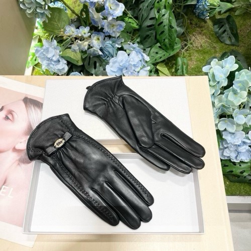 Dior Gloves 010