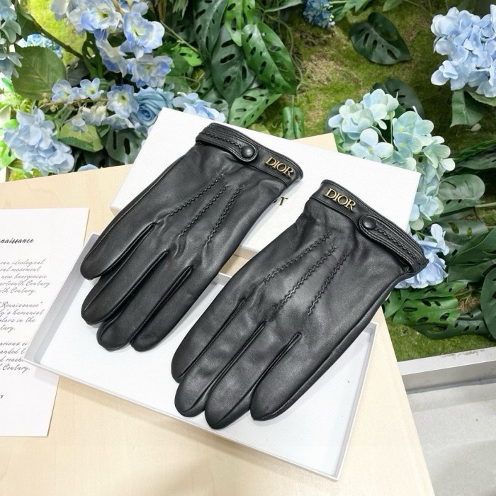 Dior Gloves 009