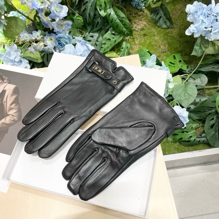 Dior Gloves 002