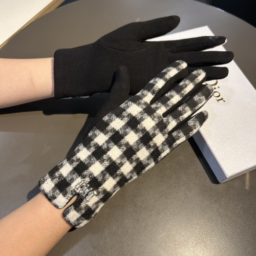 Dior Gloves 014