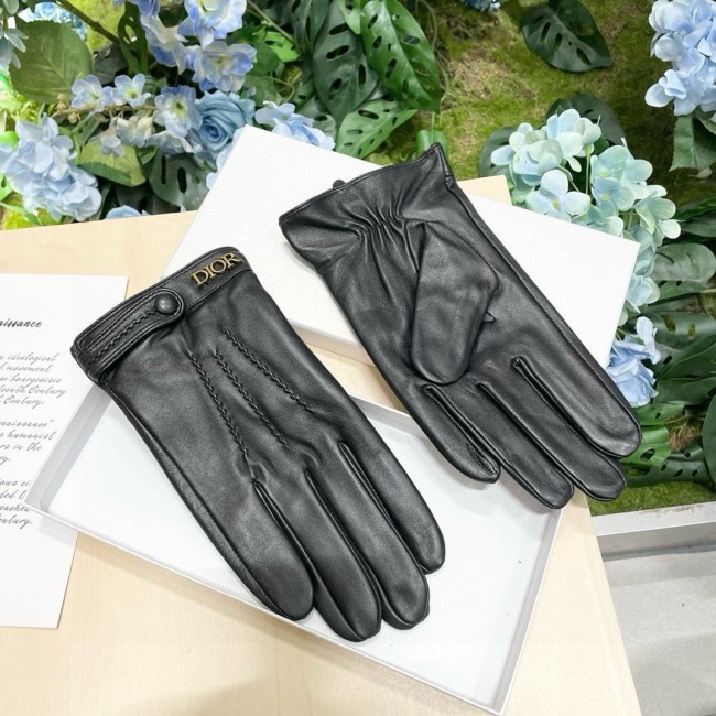 Dior Gloves 009