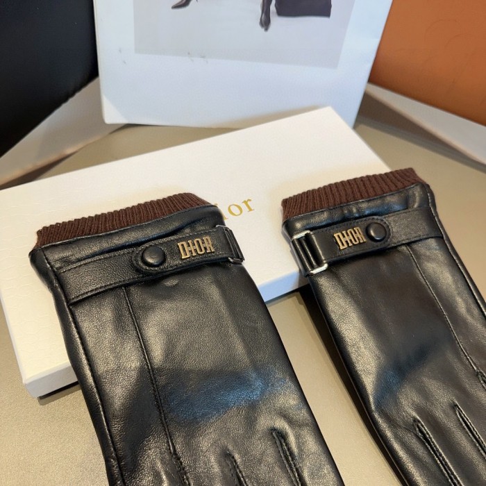 Dior Gloves 007