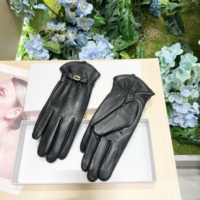 Dior Gloves 010