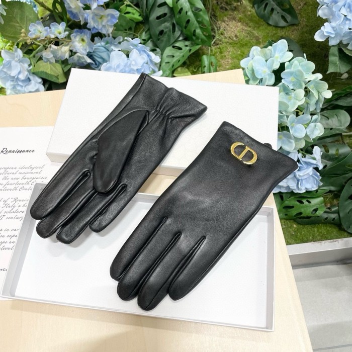 Dior Gloves 013