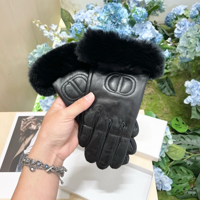 Dior Gloves 008