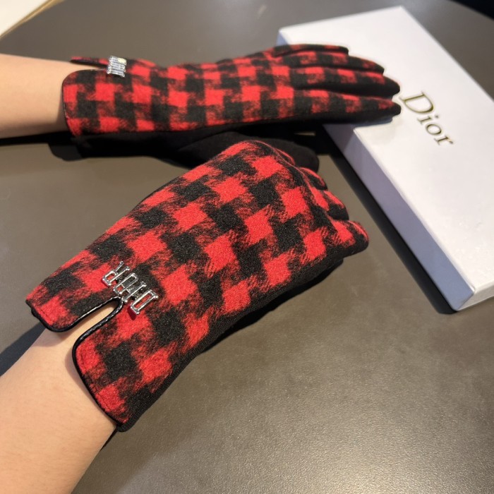 Dior Gloves 014