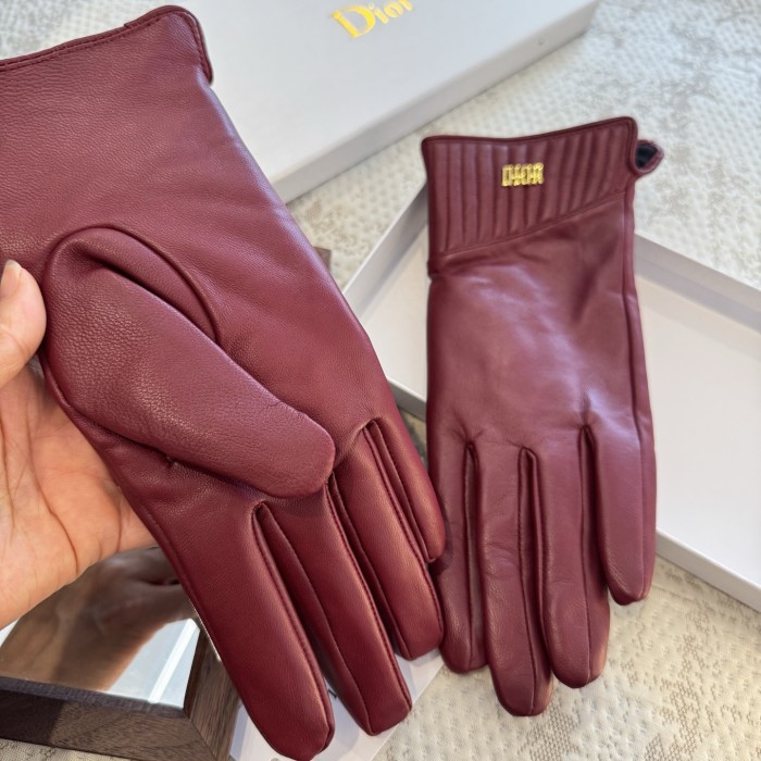 Dior Gloves 005