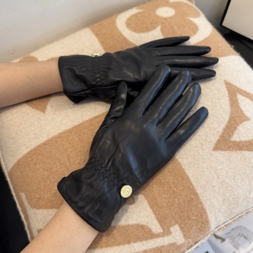 Dior Gloves 004