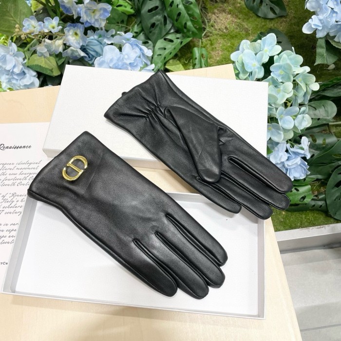 Dior Gloves 013