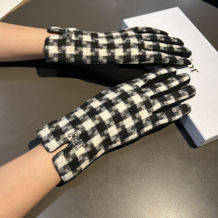Dior Gloves 014
