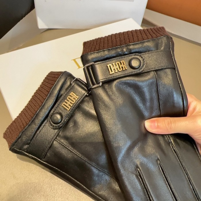 Dior Gloves 007