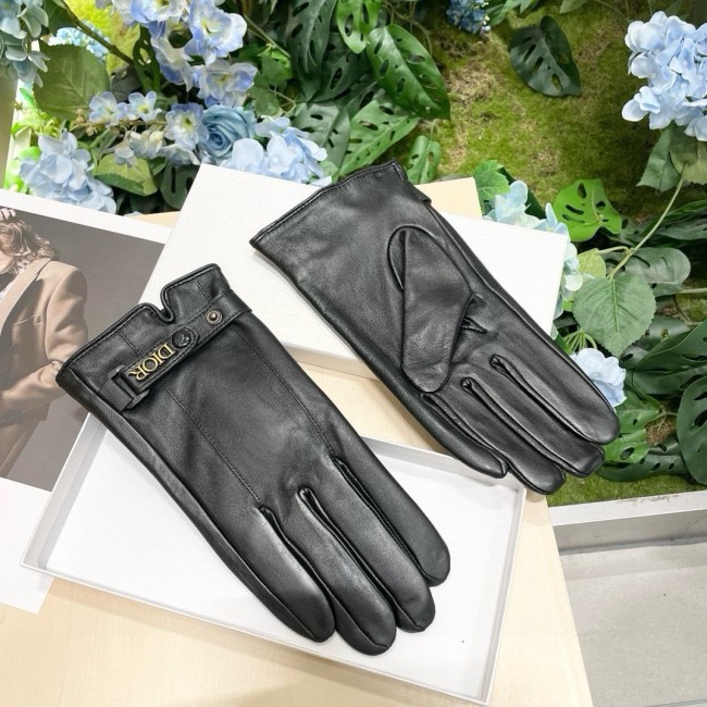 Dior Gloves 002