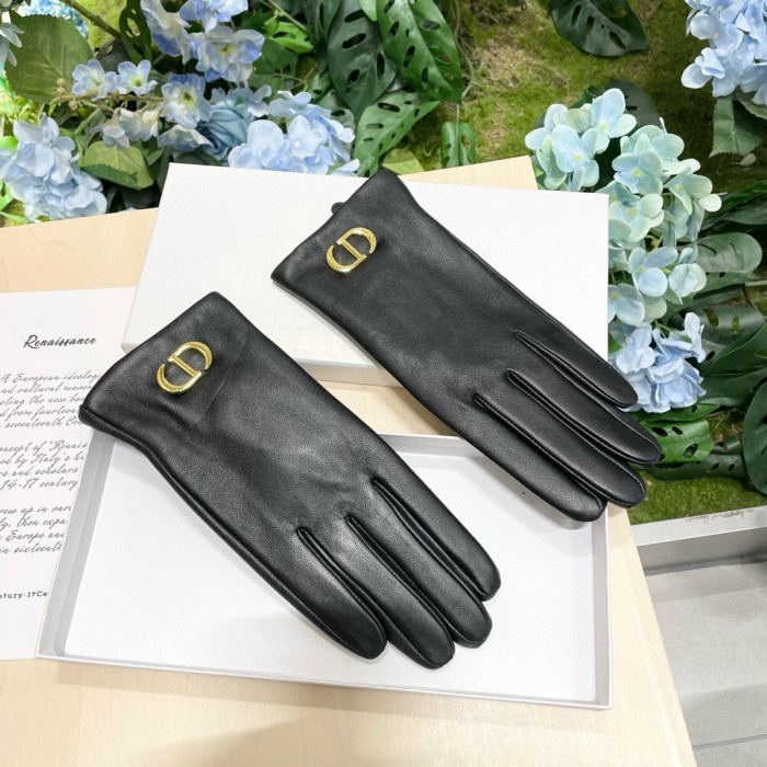 Dior Gloves 013