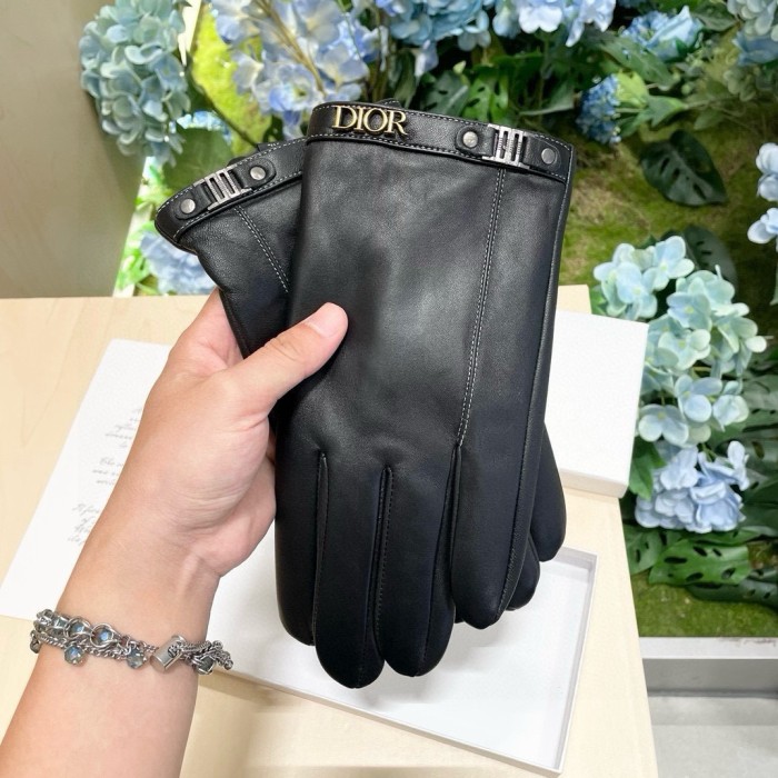 Dior Gloves 012