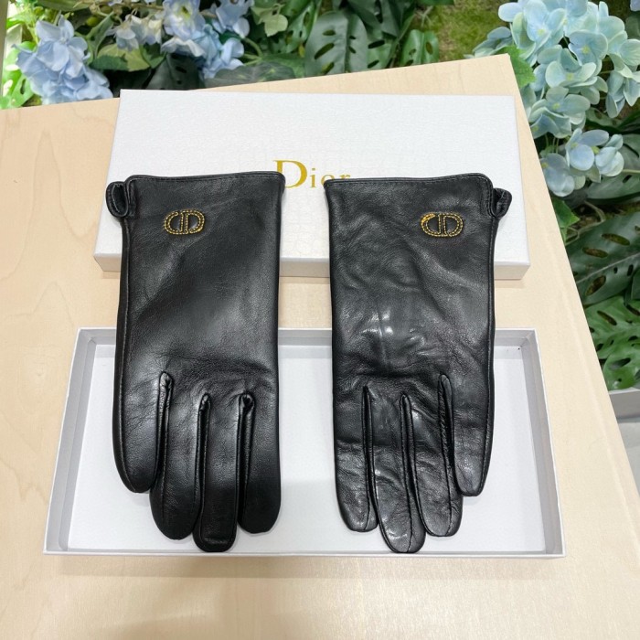 Dior Gloves 011