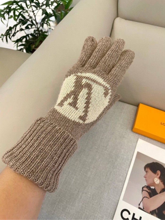 LV Gloves 008