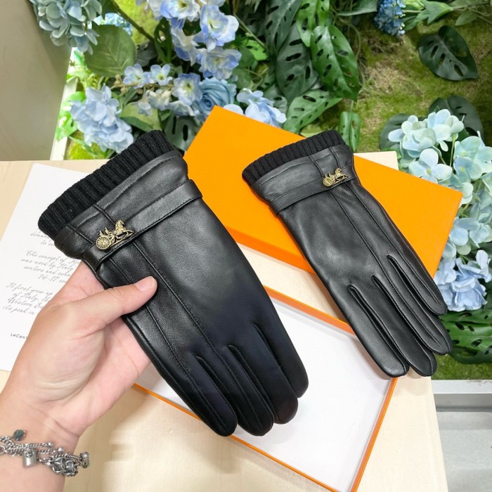 Hermes Gloves 001