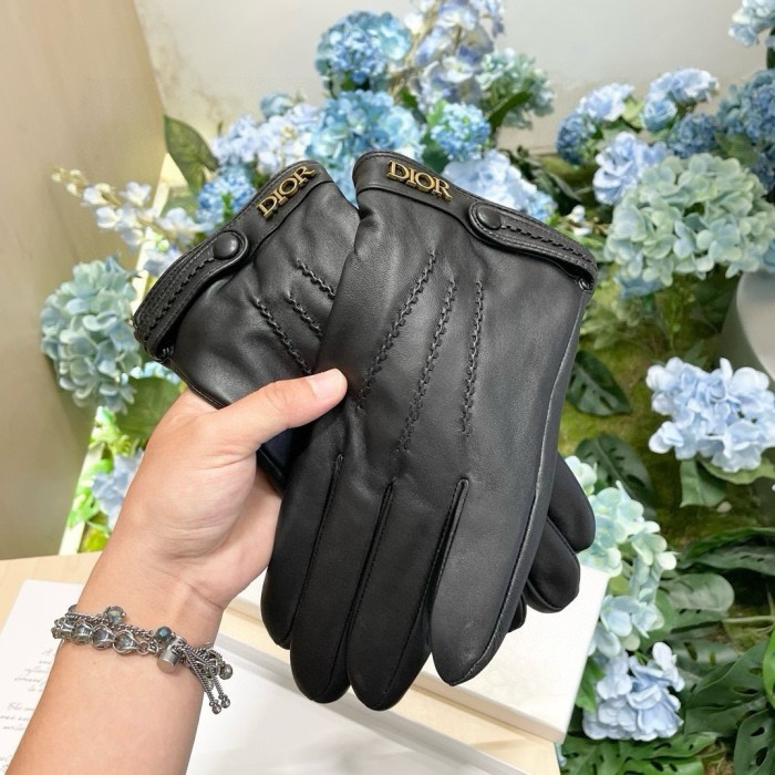 Dior Gloves 009