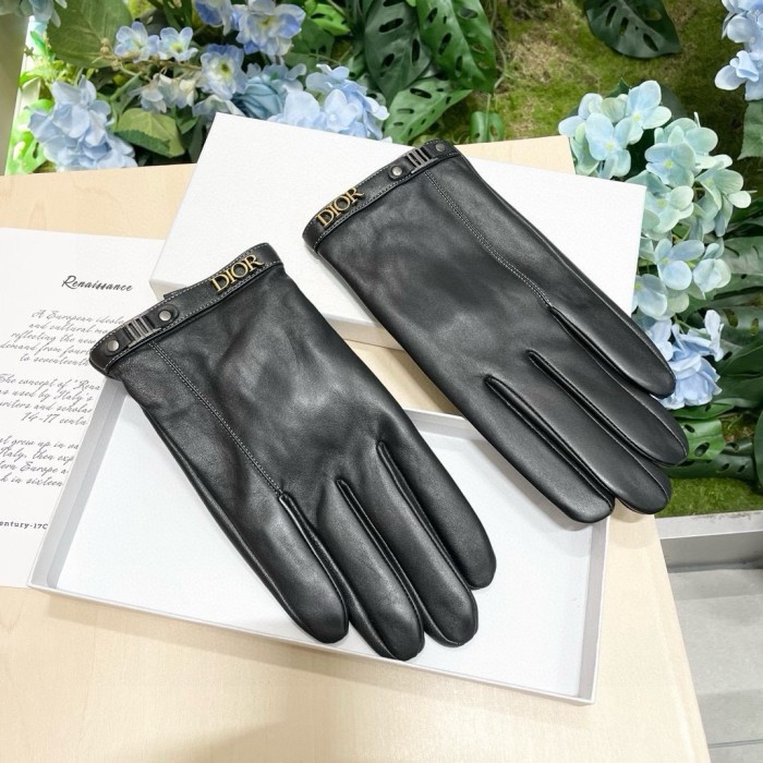 Dior Gloves 012