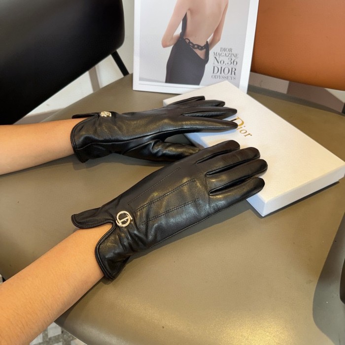 Dior Gloves 001