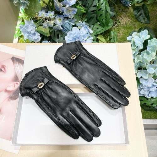 Dior Gloves 010