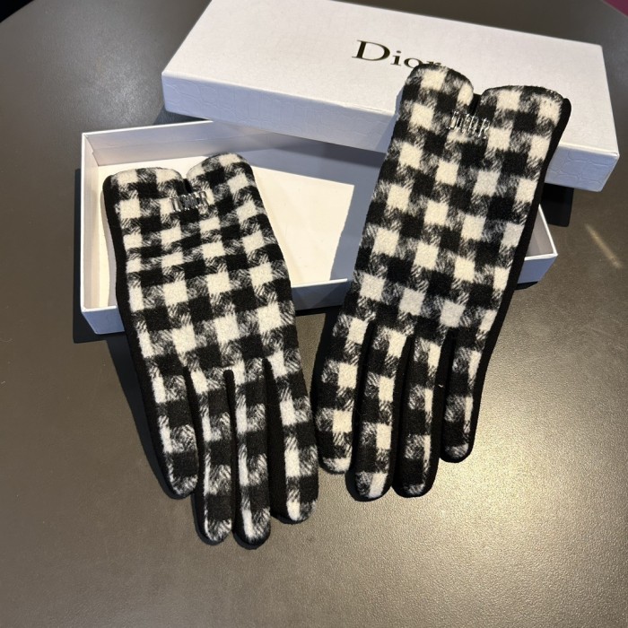 Dior Gloves 014