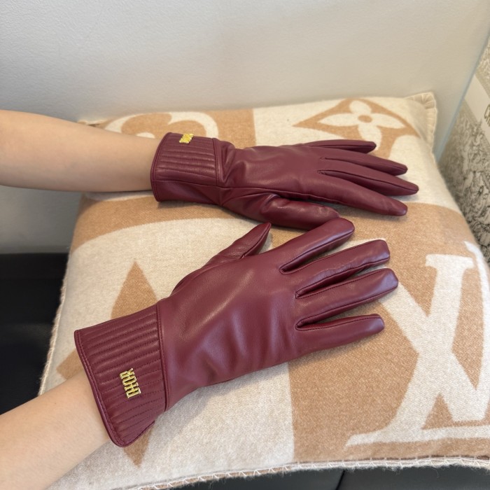 Dior Gloves 005