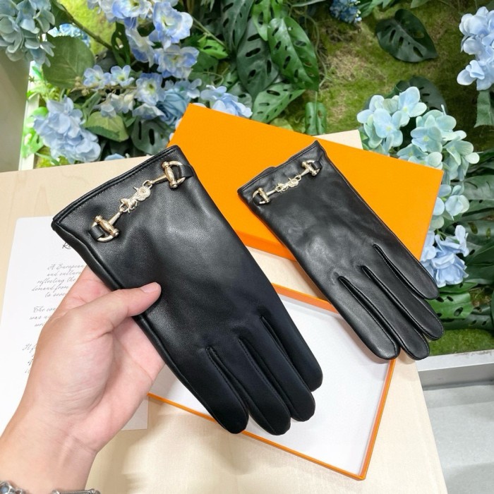 Hermes Gloves 008