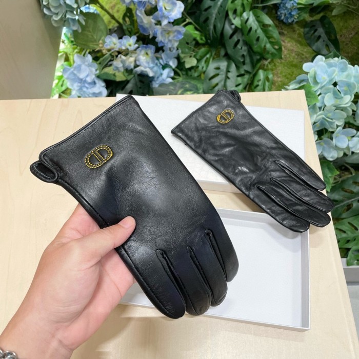 Dior Gloves 011