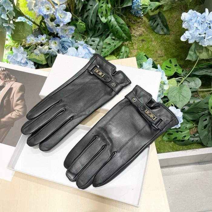 Dior Gloves 002