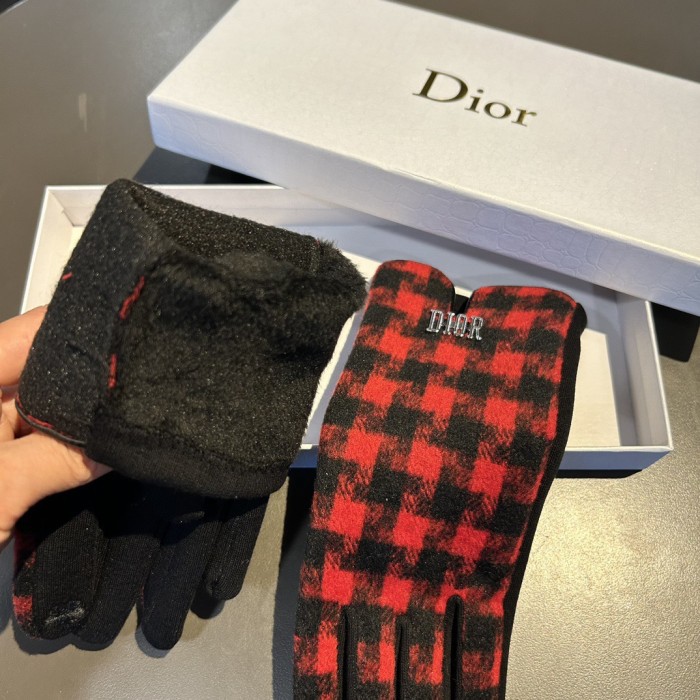 Dior Gloves 014