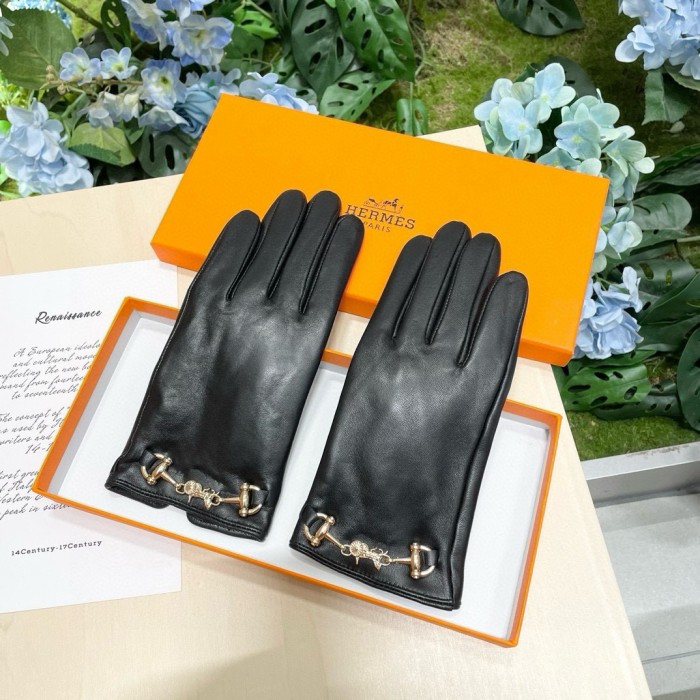 Hermes Gloves 008