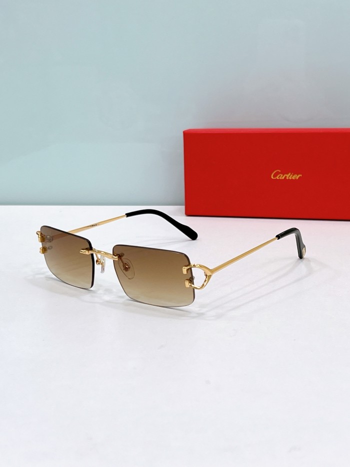 Cartier Sunglasses CT0488O