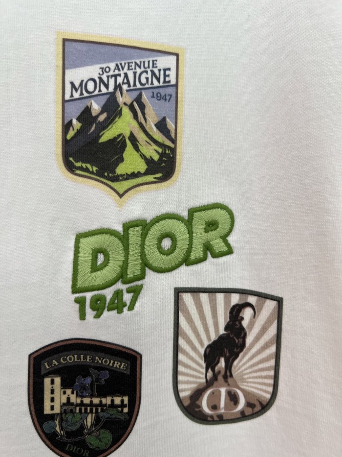 Dior T-Shirts High quality D2630 ZG59