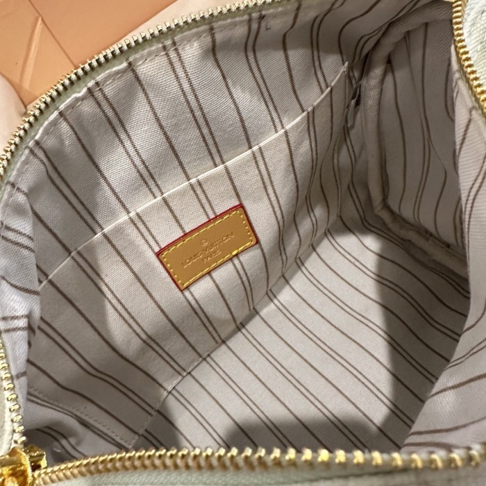 LV Nano Speedy Bag 260 DB081091 20-25cm