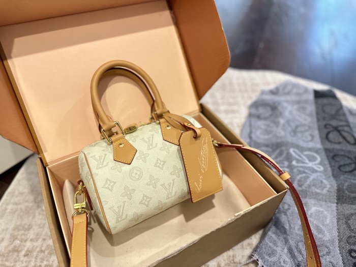 LV Nano Speedy Bag 260 DB081091 20-25cm