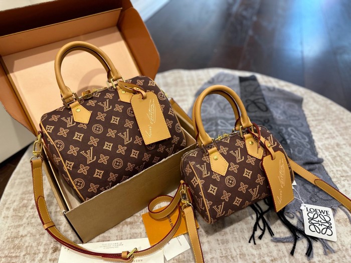 LV Nano Speedy Bag 260 DB081091 20-25cm