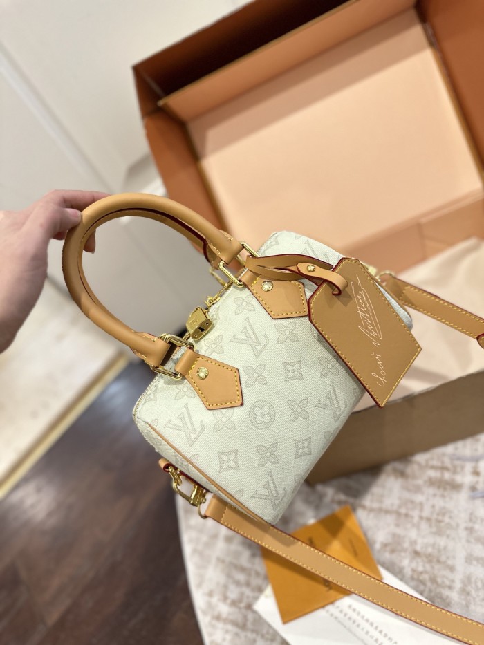 LV Nano Speedy Bag 260 DB081091 20-25cm