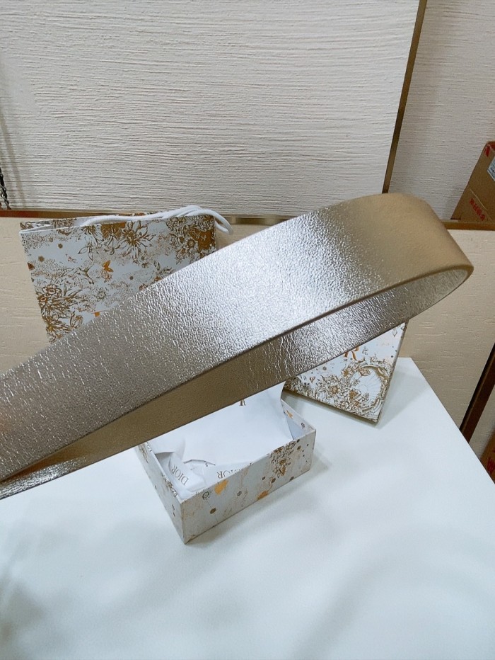 Dior Belt 019 3.4cm