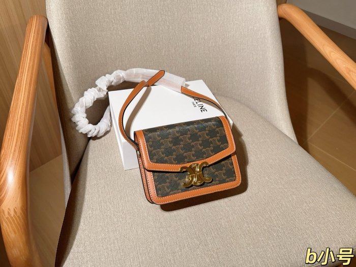 Celine Teen Triomphe Bag 012 DB061 18-22cm