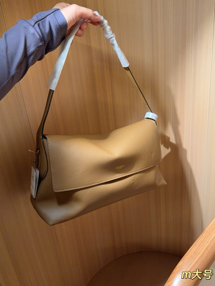 Coach Chelsea Hobo Bag  DB032