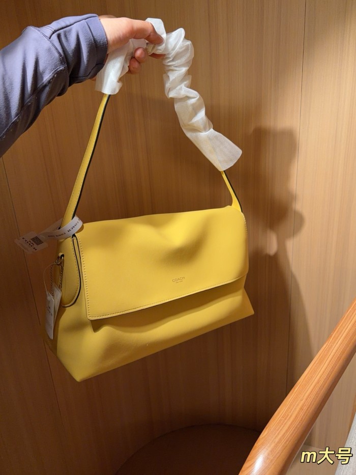 Coach Chelsea Hobo Bag  DB032