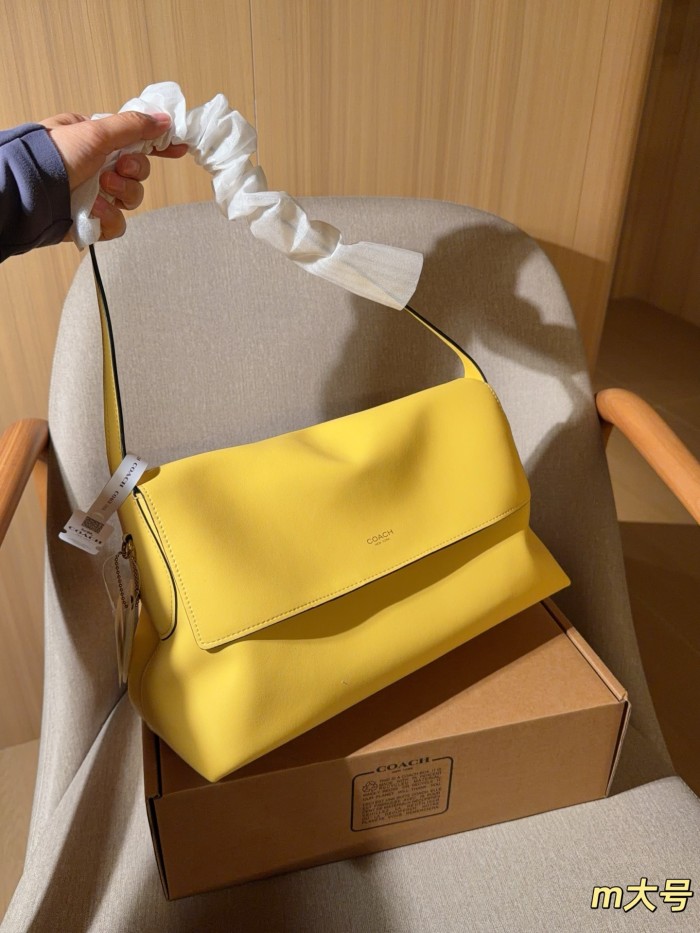 Coach Chelsea Hobo Bag  DB032