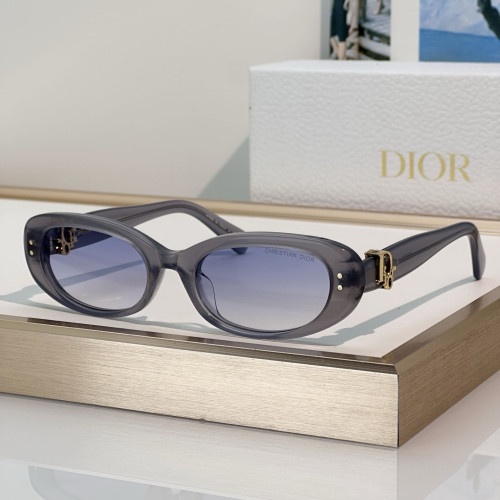 Dior Sunglasses Oblique B1I