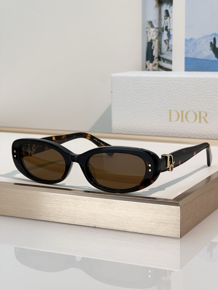 Dior Sunglasses Oblique B1I