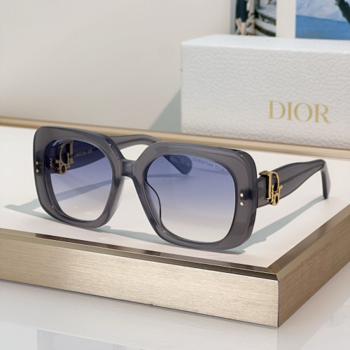 Dior Sunglasses Oblique S1I