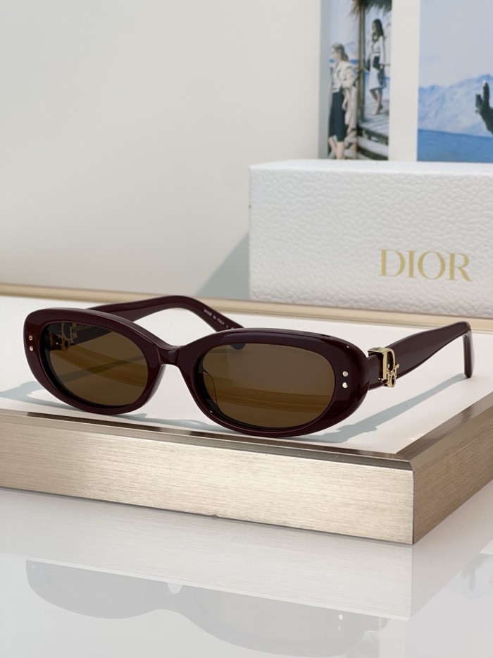 Dior Sunglasses Oblique B1I